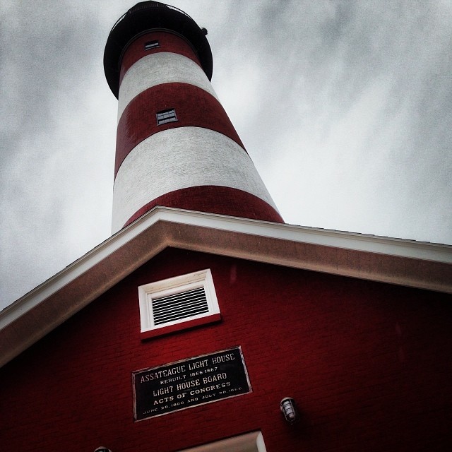 1606944_10152182058654524_1772089250_n